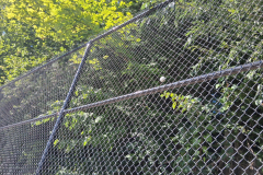2025_Nottawasaga-1
